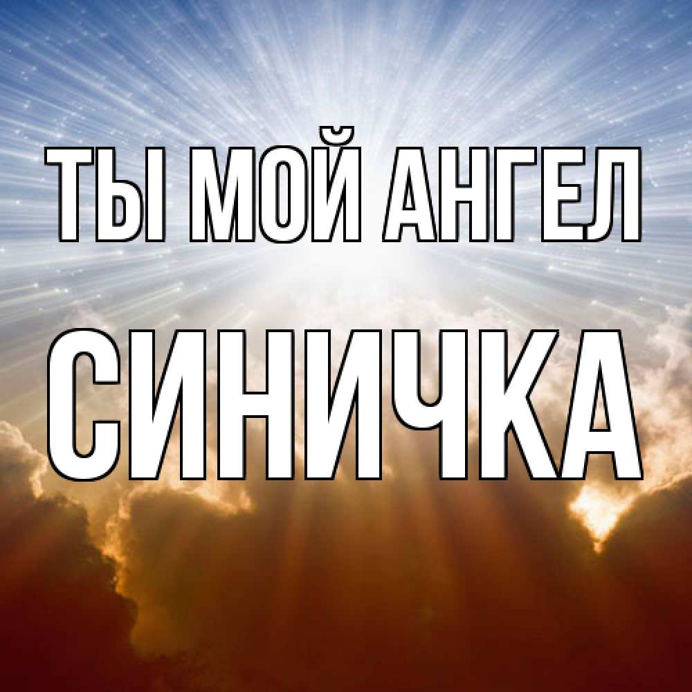 Открытка на каждый день с именем, Синичка Ты мой ангел ангельский свет на небе Прикольная открытка с пожеланием онлайн скачать бесплатно 