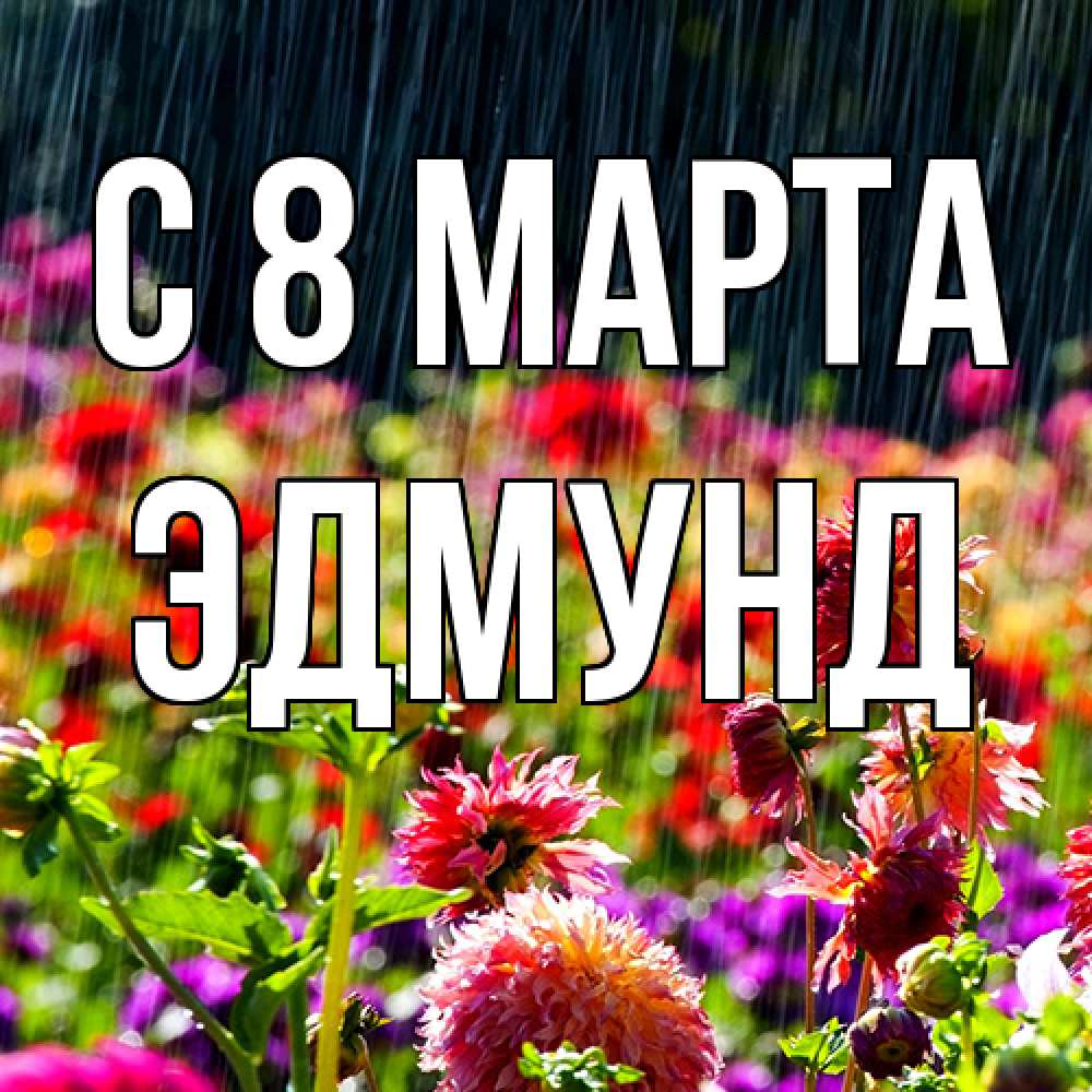 Открытка на каждый день с именем, Эдмунд C 8 МАРТА цветы под дождиком к международному женскому дню Прикольная открытка с пожеланием онлайн скачать бесплатно 
