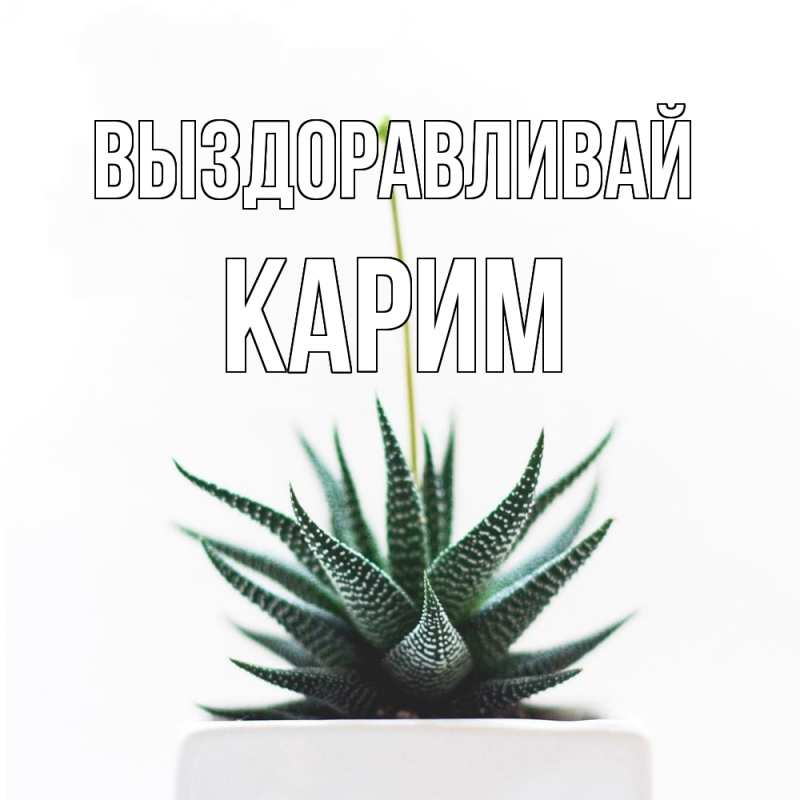 Картинка Выздоравливай, Карим