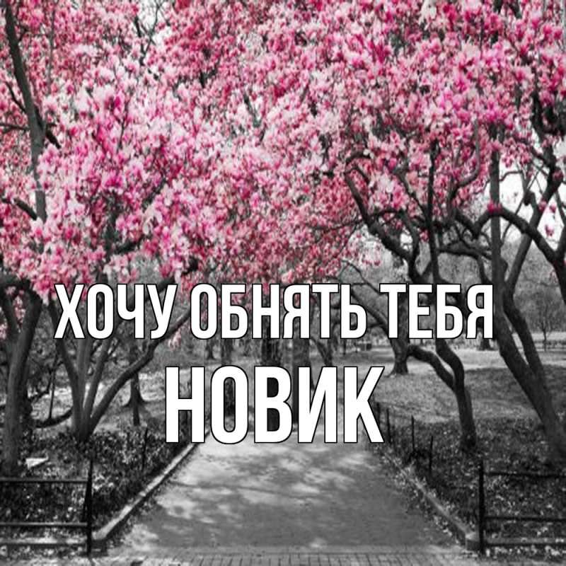 Картинка Хочу обнять тебя, новик