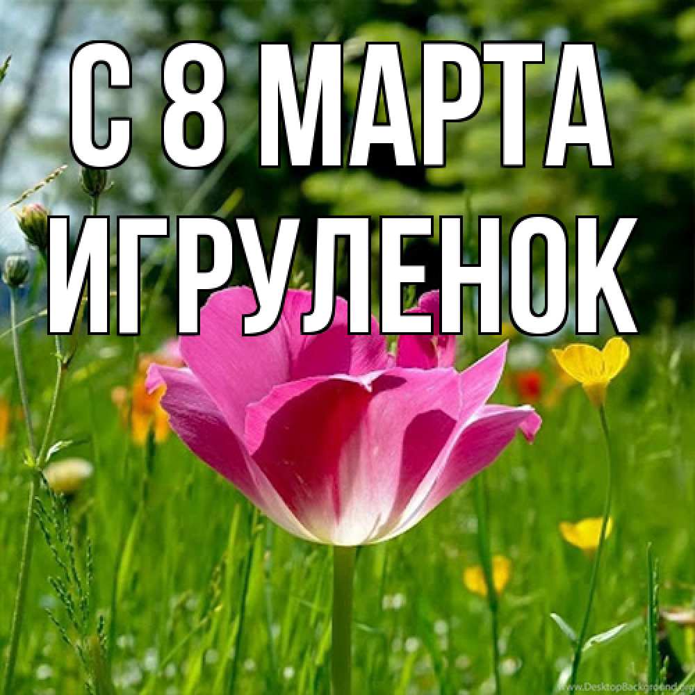 Открытка на каждый день с именем, Игpуленок C 8 МАРТА полевые цветы Прикольная открытка с пожеланием онлайн скачать бесплатно 