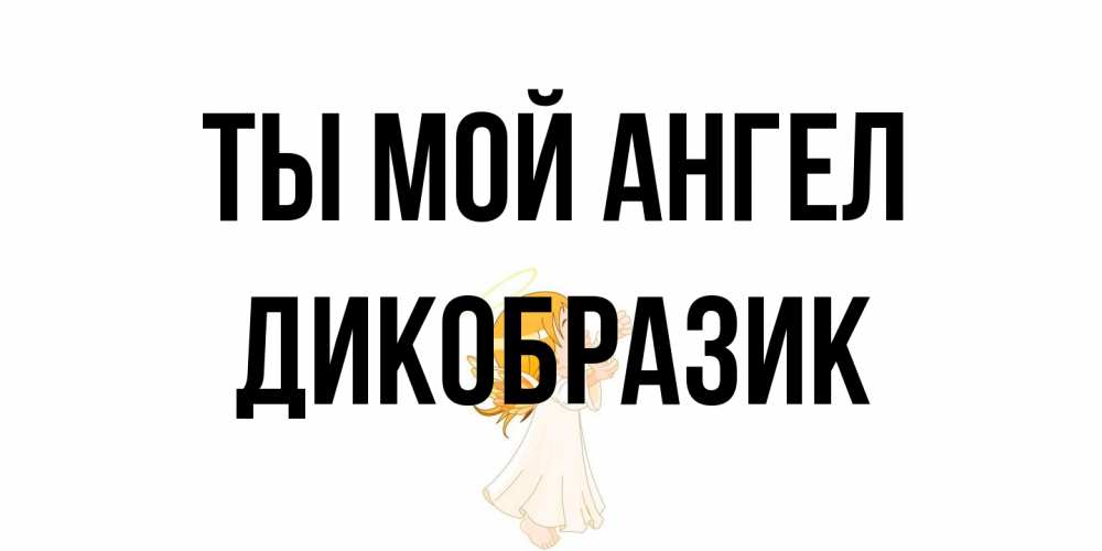 Открытка на каждый день с именем, дикобразик Ты мой ангел ангел, девочка Прикольная открытка с пожеланием онлайн скачать бесплатно 