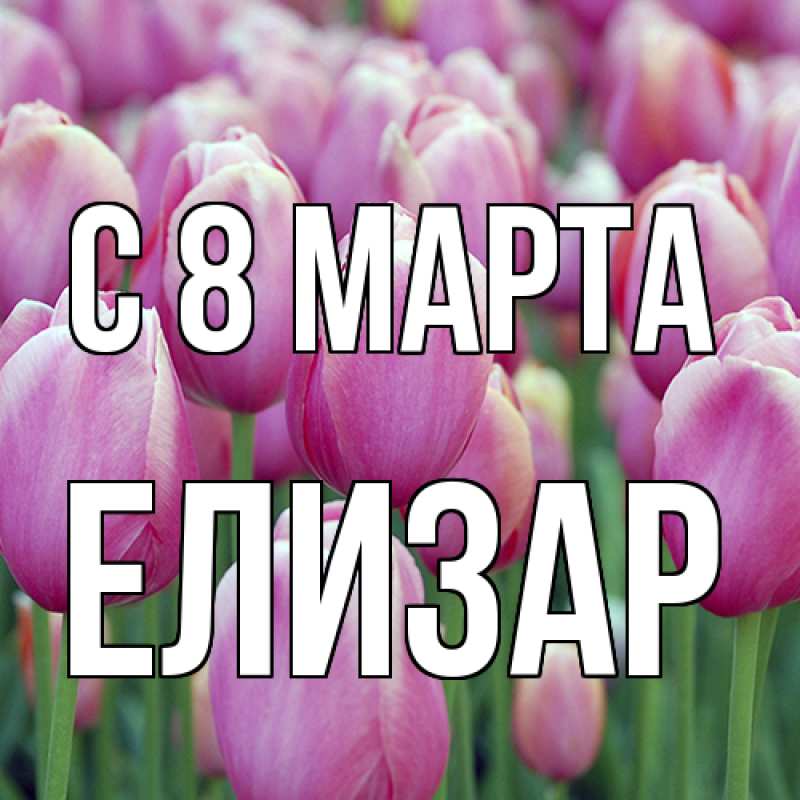 Картинка C 8 МАРТА, Елизар