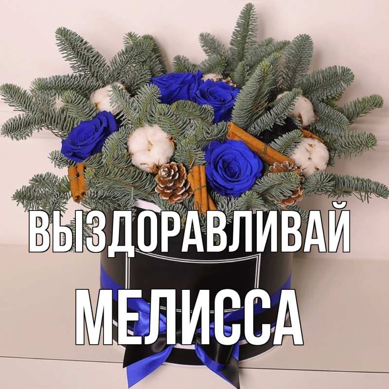 Картинка Выздоравливай, Мелисса