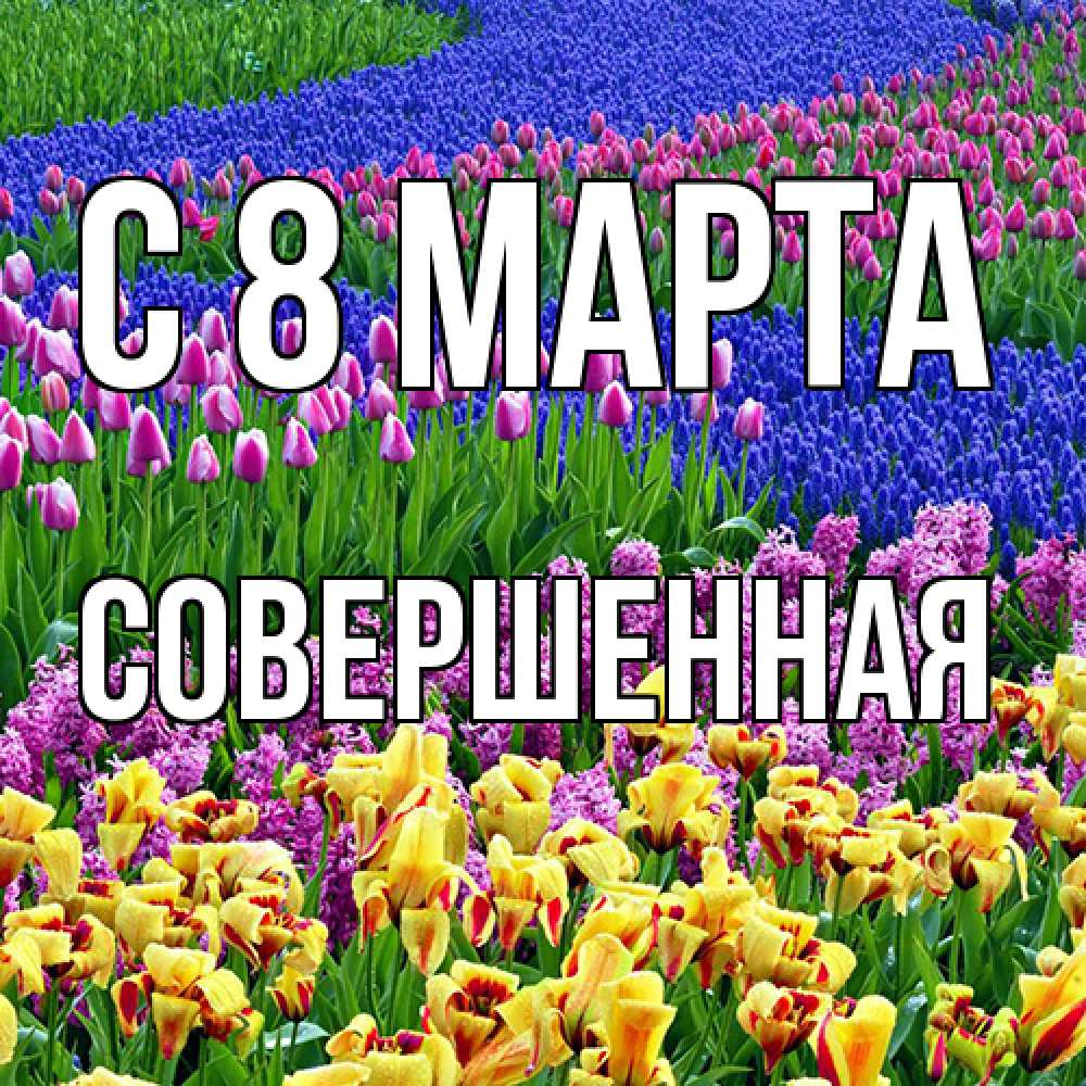 Открытка на каждый день с именем, Совершенная C 8 МАРТА цветы Прикольная открытка с пожеланием онлайн скачать бесплатно 