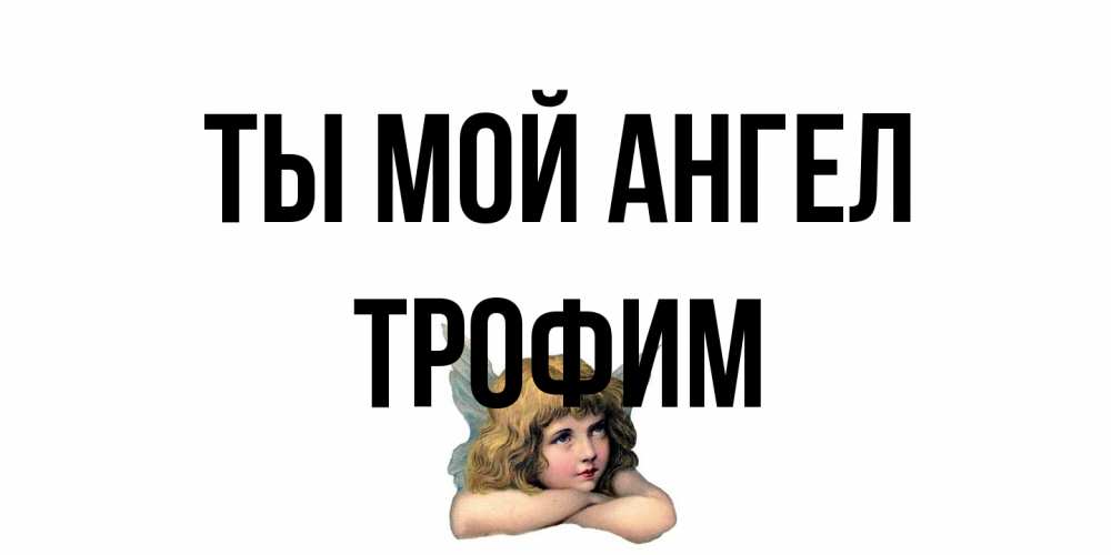 Открытка на каждый день с именем, Трофим Ты мой ангел ангел Прикольная открытка с пожеланием онлайн скачать бесплатно 