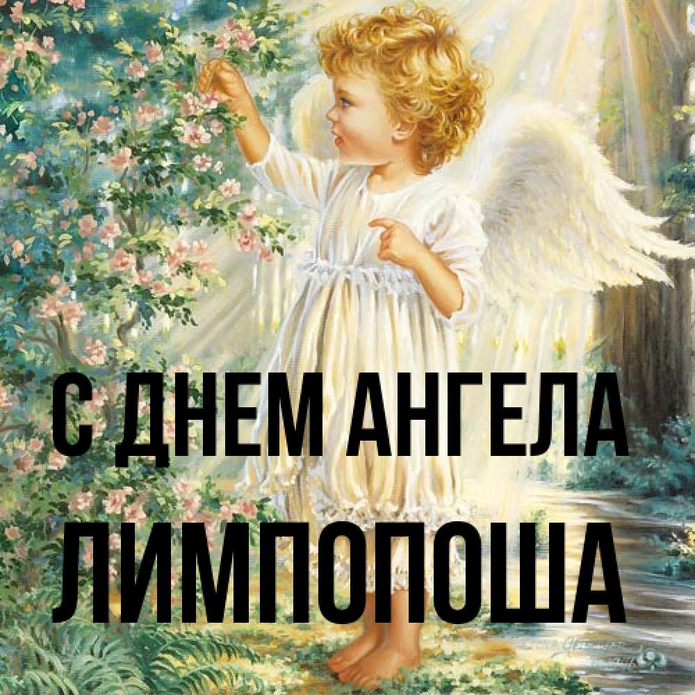Открытка на каждый день с именем, лимпопоша С днем ангела собирает цветы Прикольная открытка с пожеланием онлайн скачать бесплатно 