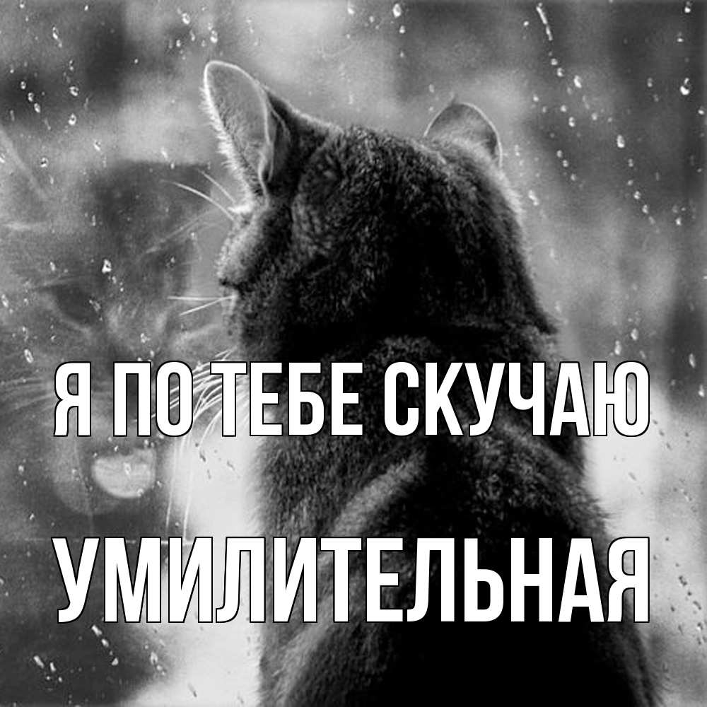 Открытка на каждый день с именем, умилительная Я по тебе скучаю скорее ко мне приходи 1 Прикольная открытка с пожеланием онлайн скачать бесплатно 