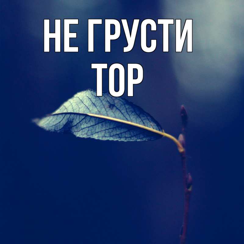 Картинка Не грусти, Тор