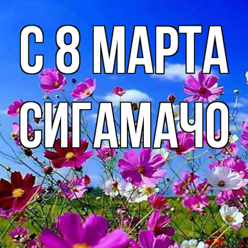 Картинка C 8 МАРТА, Сигамачо