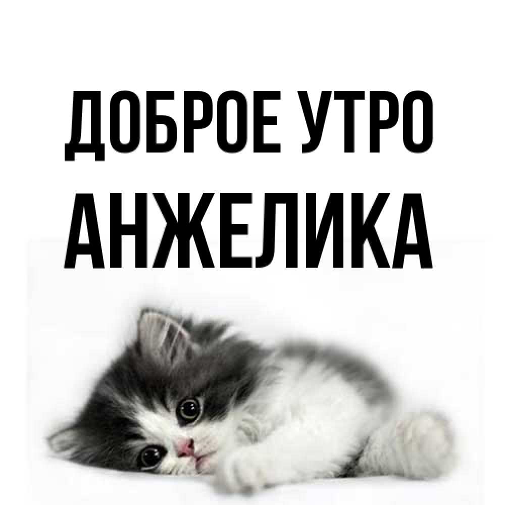 Открытка на каждый день с именем, Анжелика Доброе утро кот лапки Прикольная открытка с пожеланием онлайн скачать бесплатно 