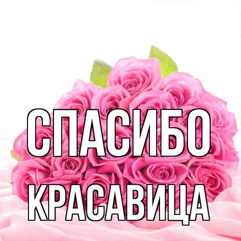 Открытка на каждый день с именем, Красавица Спасибо розовые розы с подписью Прикольная открытка с пожеланием онлайн скачать бесплатно 