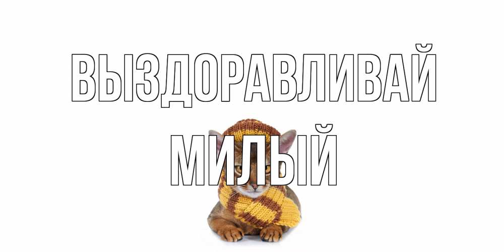 Открытка на каждый день с именем, Милый Выздоравливай родные не болейте Прикольная открытка с пожеланием онлайн скачать бесплатно 