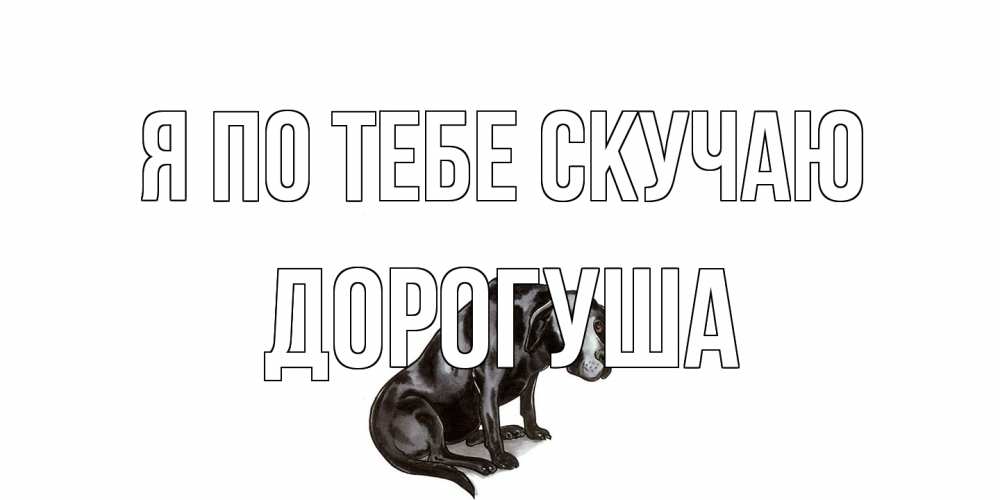 Открытка на каждый день с именем, дорогуша Я по тебе скучаю я по тебе скучаю открытка с собакой Прикольная открытка с пожеланием онлайн скачать бесплатно 