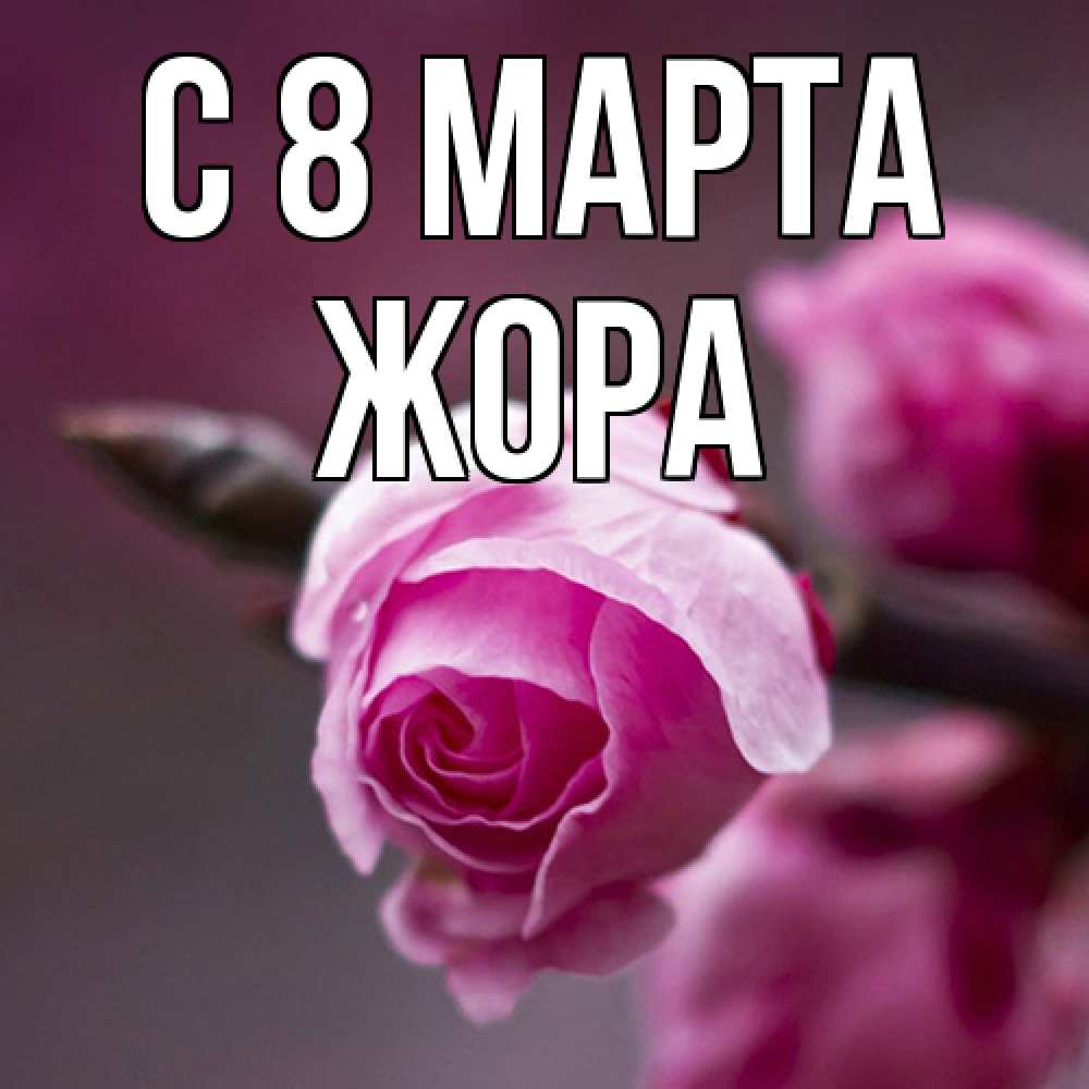 Открытка на каждый день с именем, Жора C 8 МАРТА весна Прикольная открытка с пожеланием онлайн скачать бесплатно 
