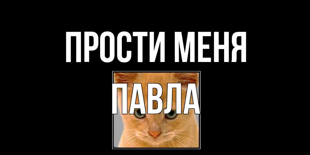Открытка на каждый день с именем, Павла Прости меня рыжий грустный кот просит прощения Прикольная открытка с пожеланием онлайн скачать бесплатно 