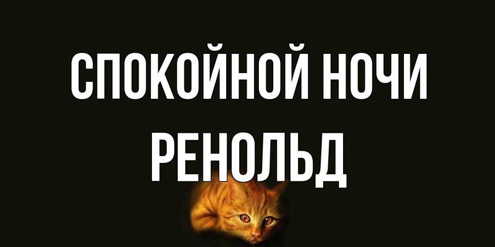 Открытка на каждый день с именем, Ренольд Спокойной ночи кот Прикольная открытка с пожеланием онлайн скачать бесплатно 