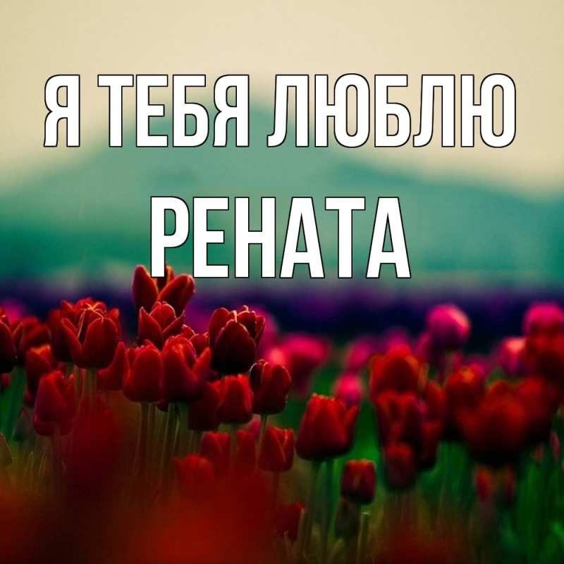 Открытка с именем, Рената, Я тебя люблю