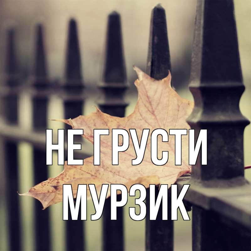 Картинка Не грусти, Мурзик