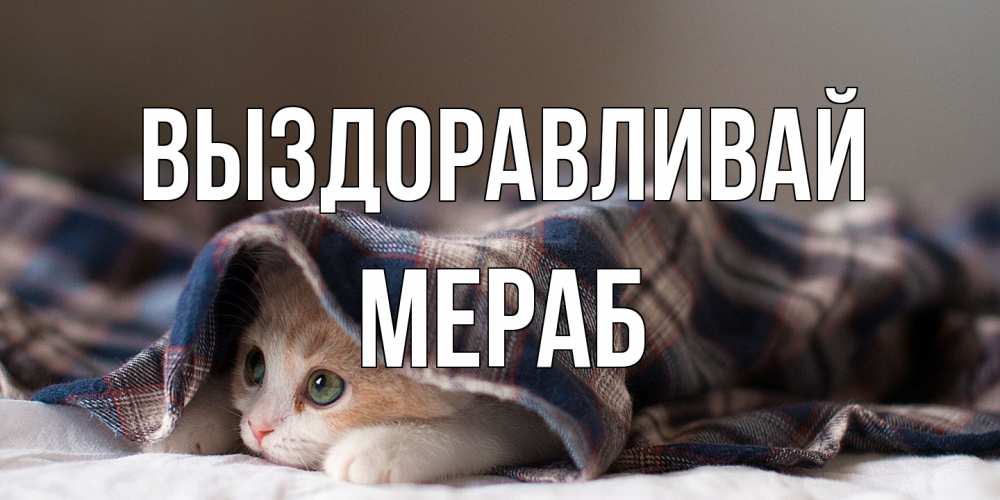 Открытка на каждый день с именем, Мераб Выздоравливай не болейте с котиком Прикольная открытка с пожеланием онлайн скачать бесплатно 