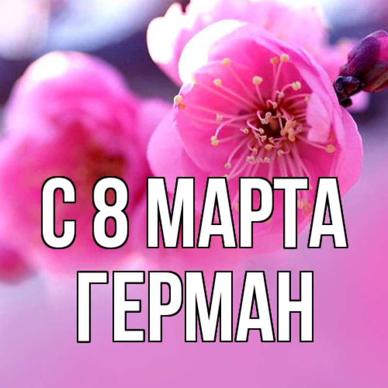 Картинка C 8 МАРТА, Герман