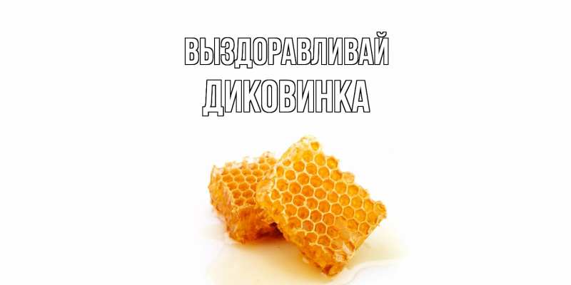 Картинка Выздоравливай, Диковинка