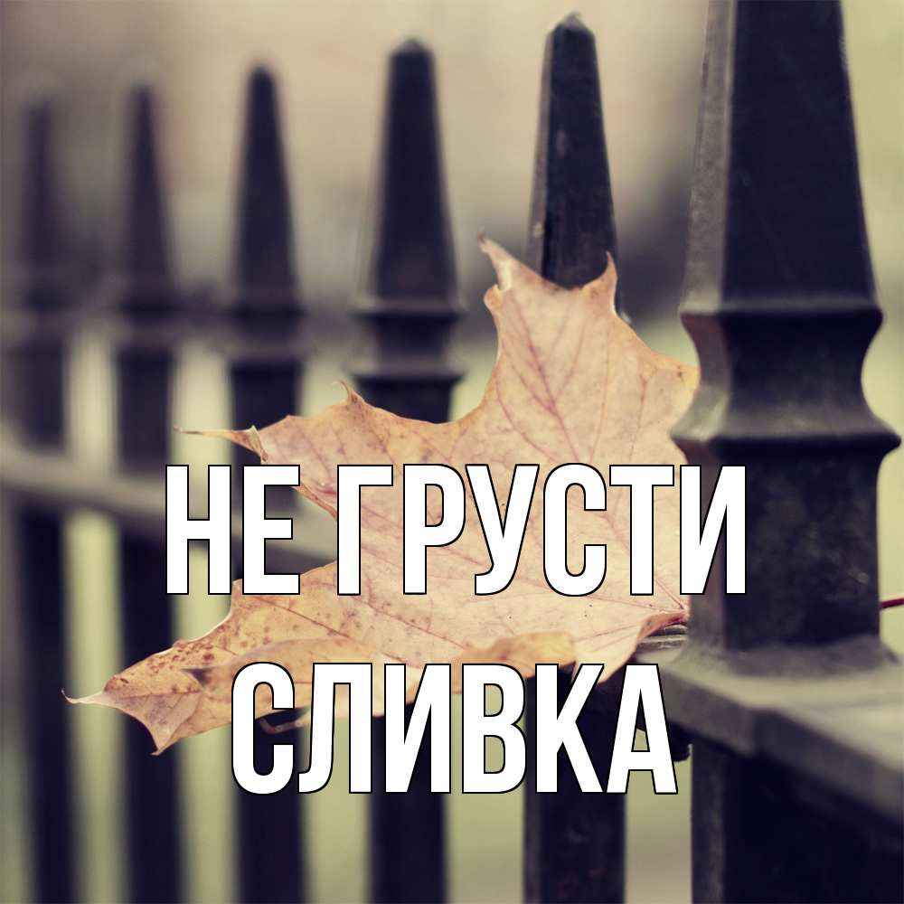 Открытка на каждый день с именем, Сливка Не грусти лист клена Прикольная открытка с пожеланием онлайн скачать бесплатно 