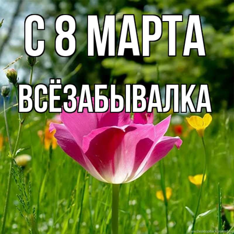 Картинка C 8 МАРТА, Всёзабывалка