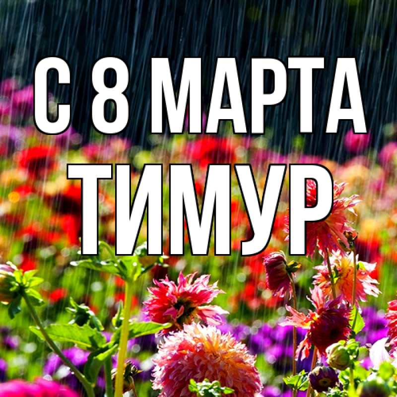 Картинка C 8 МАРТА, Тимур