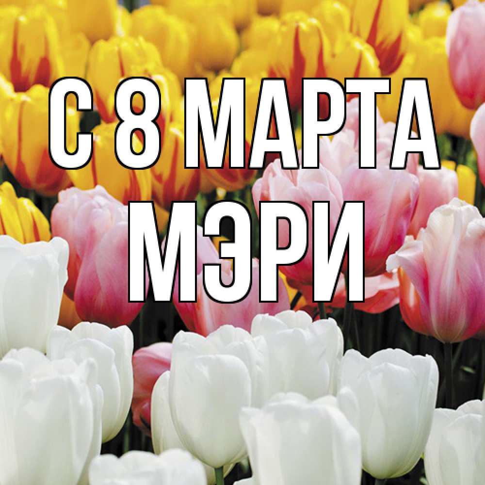 Открытка на каждый день с именем, Мэри C 8 МАРТА разноцветные цветы Прикольная открытка с пожеланием онлайн скачать бесплатно 