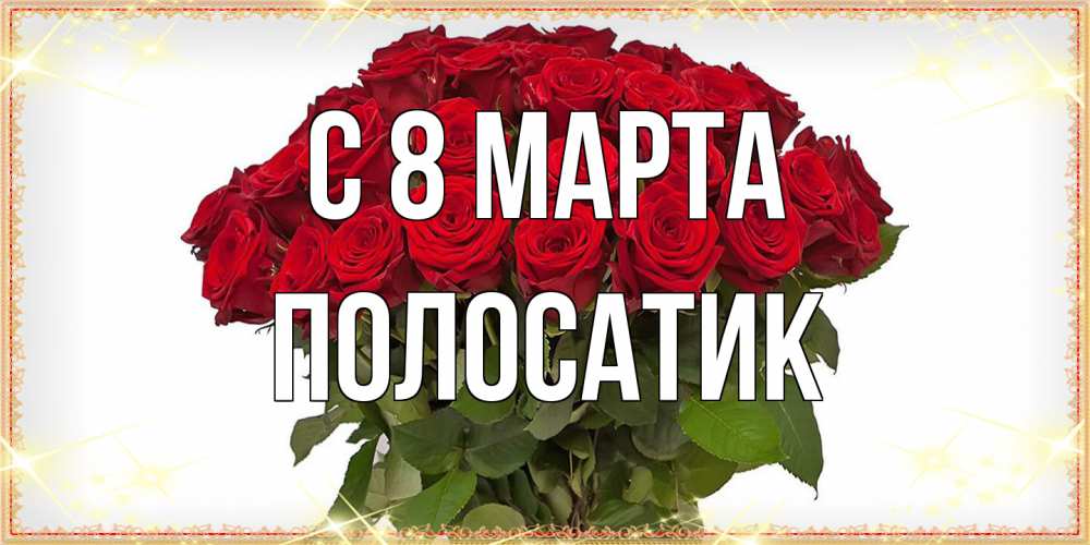 Открытка на каждый день с именем, полосатик C 8 МАРТА поздравляю с 8 марта Прикольная открытка с пожеланием онлайн скачать бесплатно 