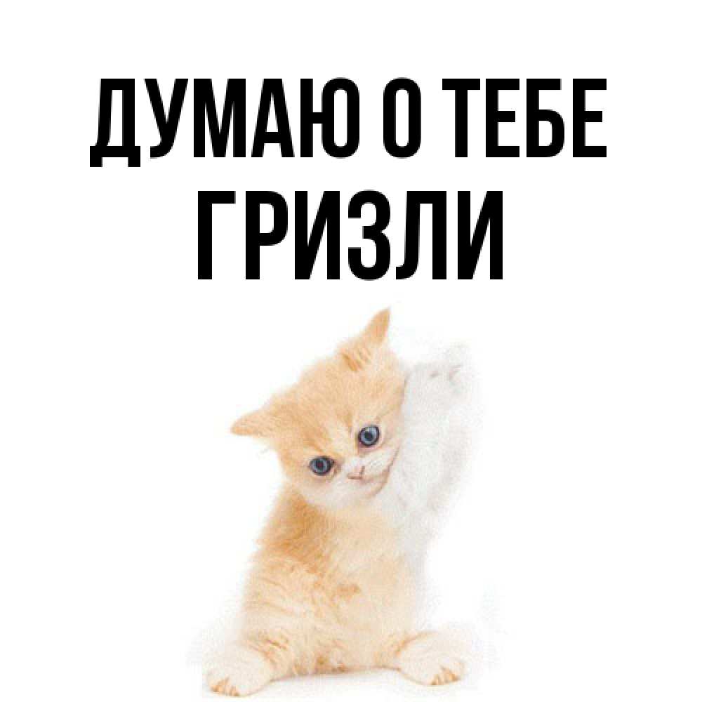 Открытка на каждый день с именем, Гризли Думаю о тебе зверушки и милота Прикольная открытка с пожеланием онлайн скачать бесплатно 