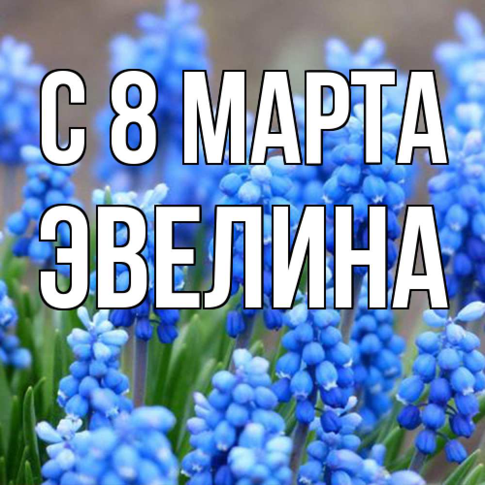 Открытка на каждый день с именем, Эвелина C 8 МАРТА Поздравительная открытка для женщин с цветами на праздничную дату Прикольная открытка с пожеланием онлайн скачать бесплатно 