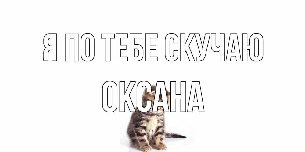 Открытка на каждый день с именем, оксана Я по тебе скучаю кот Прикольная открытка с пожеланием онлайн скачать бесплатно 