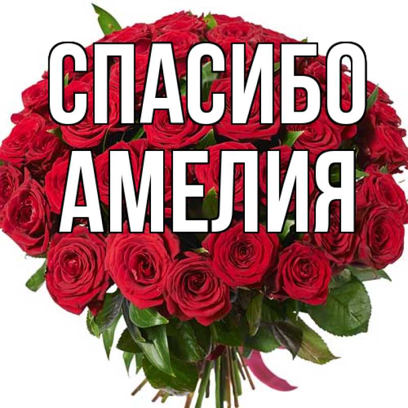 Картинка Спасибо, Амелия