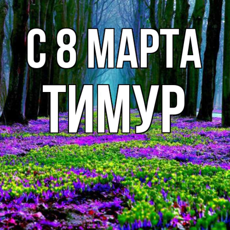 Картинка C 8 МАРТА, Тимур