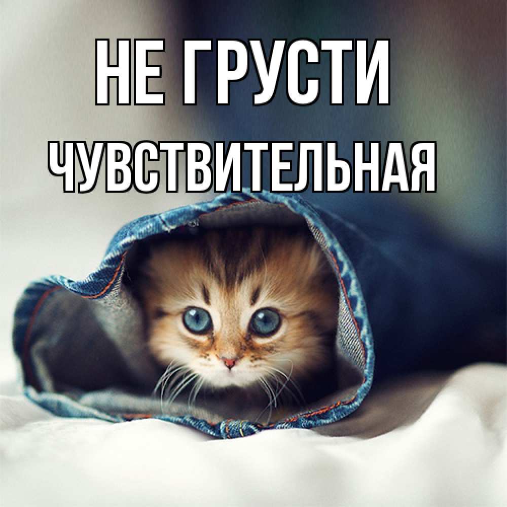 Открытка на каждый день с именем, Чувствительная Не грусти рыжик котик Прикольная открытка с пожеланием онлайн скачать бесплатно 