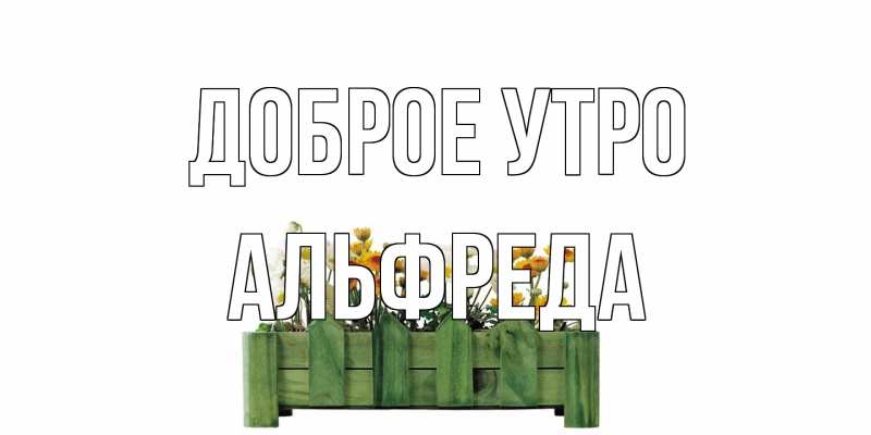 Картинка Доброе утро, Альфреда