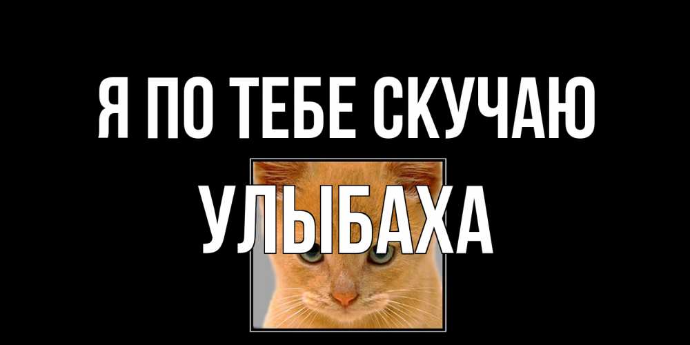 Открытка на каждый день с именем, Улыбаха Я по тебе скучаю открытки рыжий котенок скучает по тебе Прикольная открытка с пожеланием онлайн скачать бесплатно 