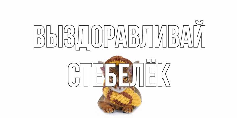 Картинка Выздоравливай, Стебелёк