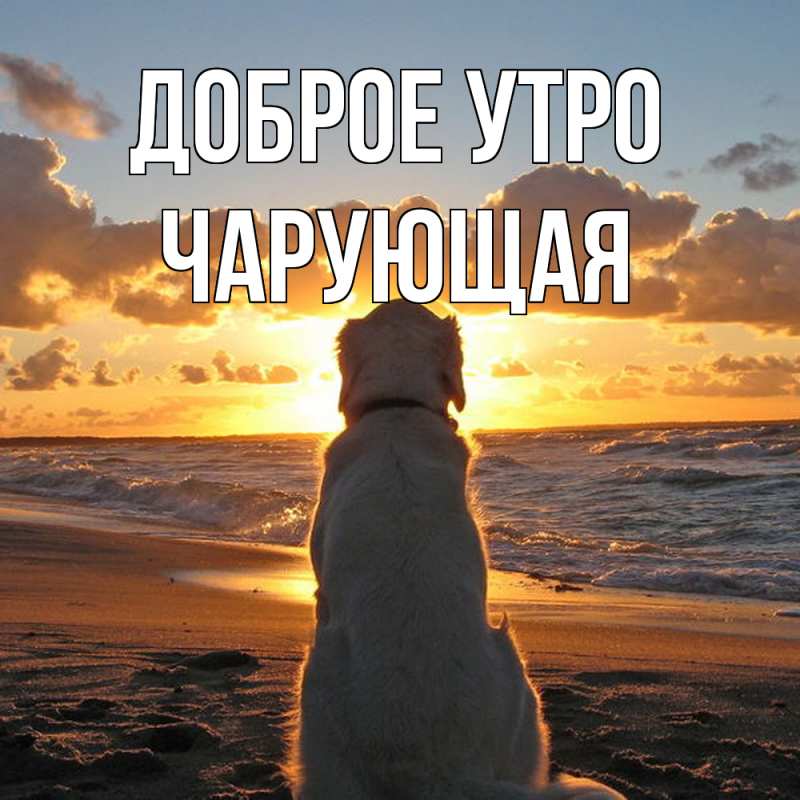 Картинка Доброе утро, Чаpующая