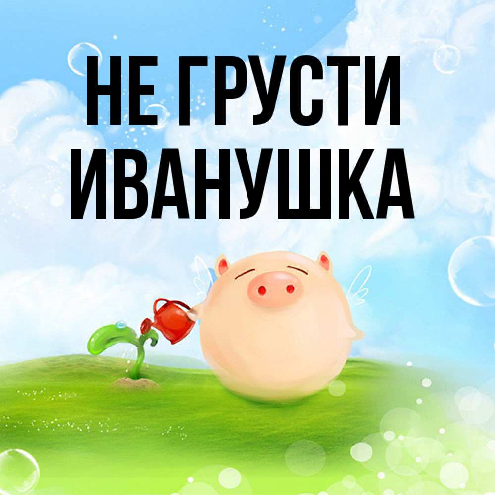 Открытка на каждый день с именем, Иванушка Не грусти поливает цветок порося Прикольная открытка с пожеланием онлайн скачать бесплатно 