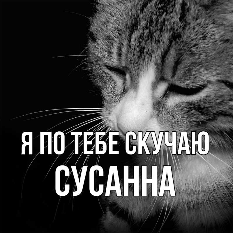 Картинка Я по тебе скучаю, Сусанна