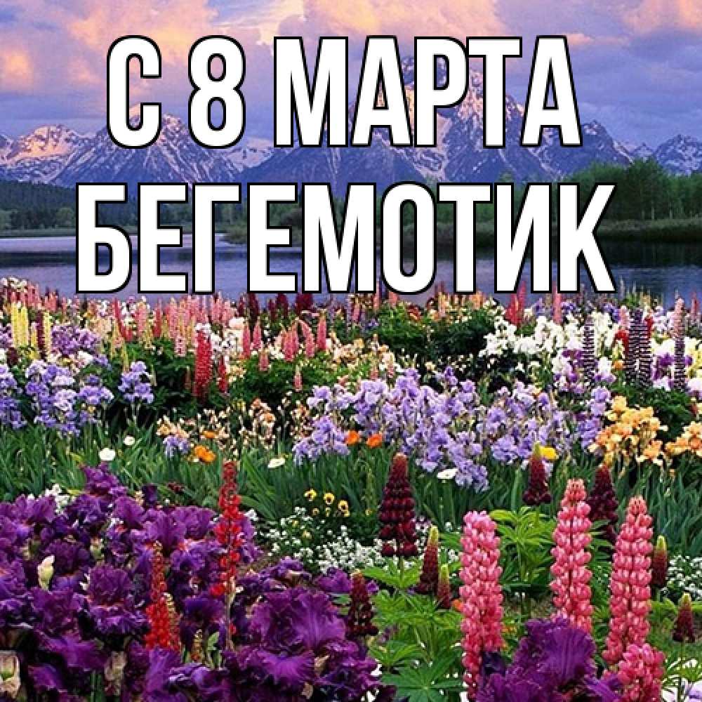 Открытка на каждый день с именем, Бегемотик C 8 МАРТА международный женский день Прикольная открытка с пожеланием онлайн скачать бесплатно 