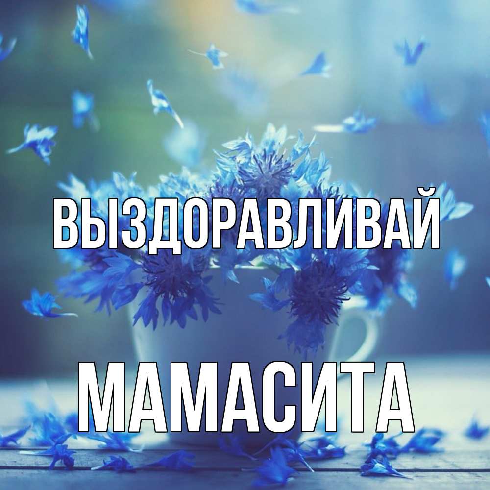 Открытка на каждый день с именем, Мамасита Выздоравливай кружка с зельем и цветами Прикольная открытка с пожеланием онлайн скачать бесплатно 