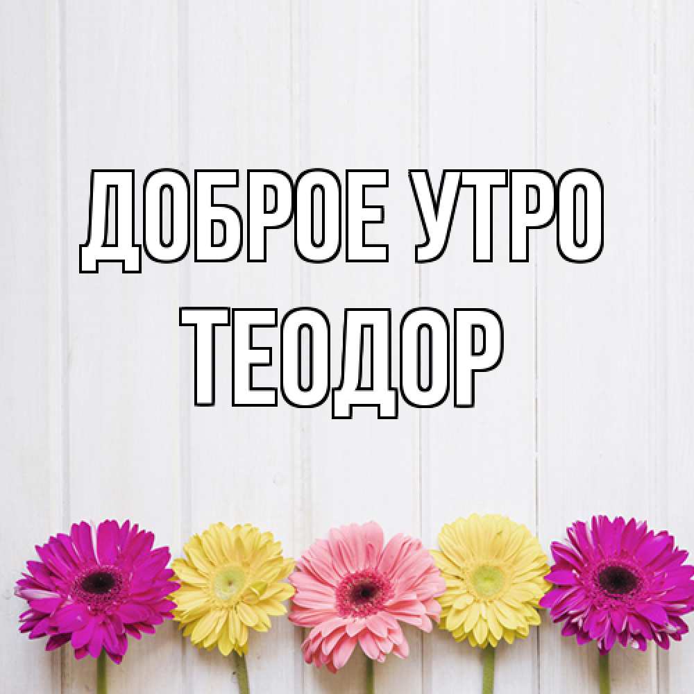 Открытка на каждый день с именем, Теодор Доброе утро красный желтый и розовый цветок Прикольная открытка с пожеланием онлайн скачать бесплатно 