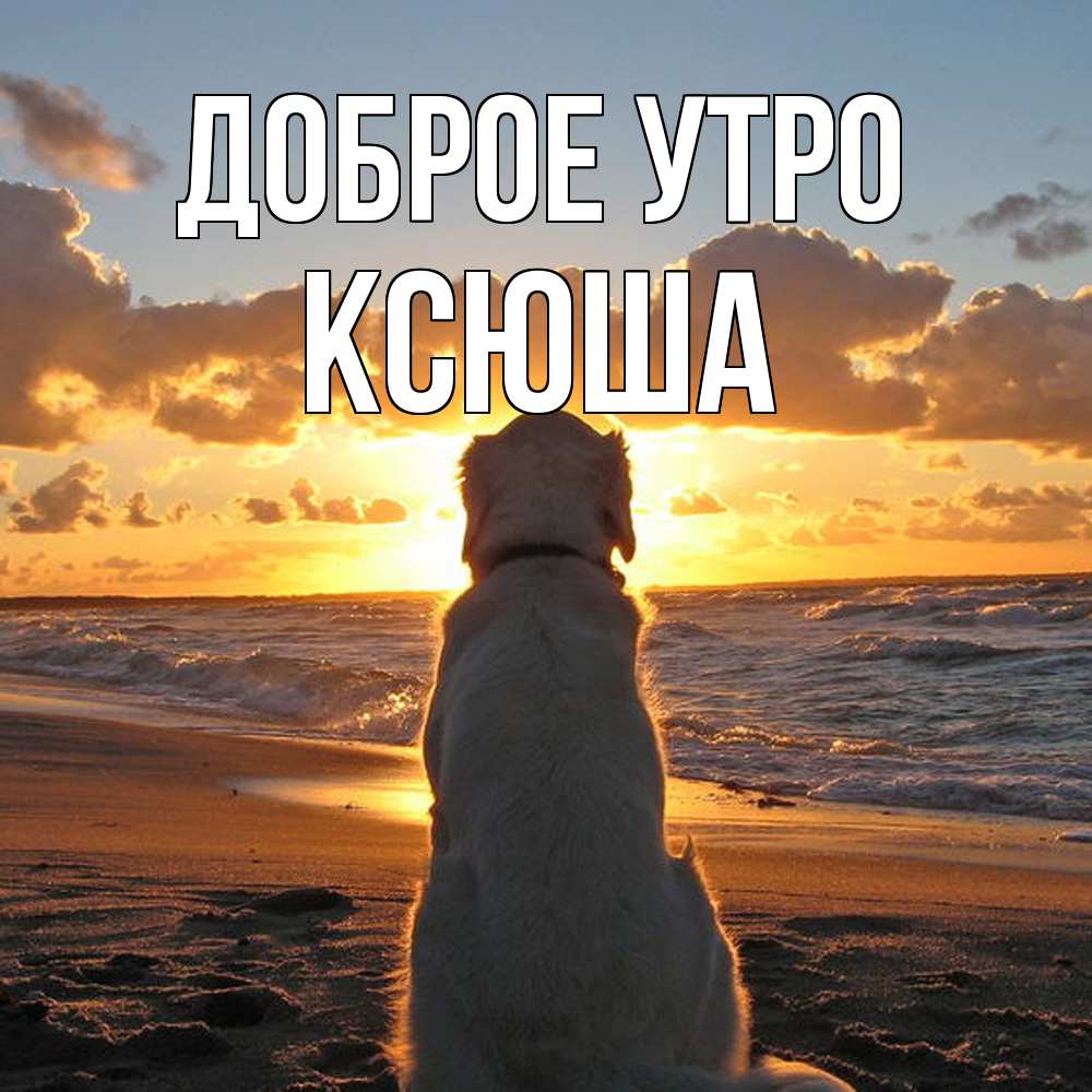 Открытка на каждый день с именем, Ксюша Доброе утро восход солнца Прикольная открытка с пожеланием онлайн скачать бесплатно 