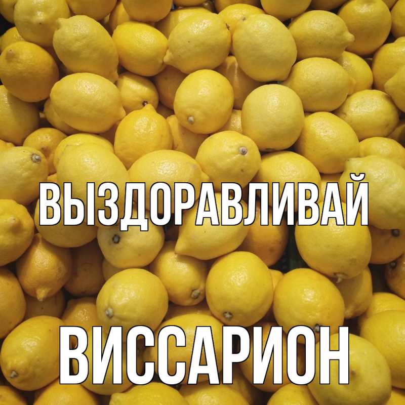 Картинка Выздоравливай, Виссарион