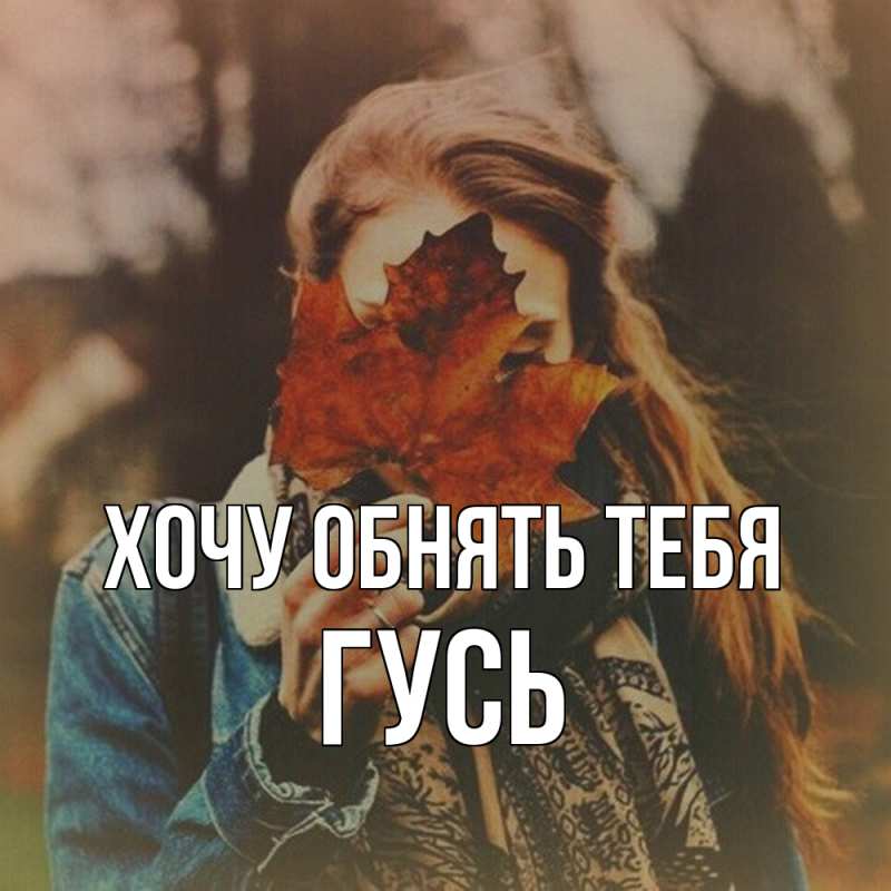 Картинка Хочу обнять тебя, Гусь