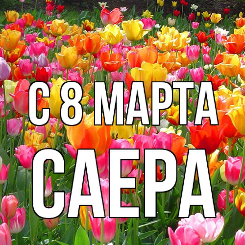 Картинка C 8 МАРТА, Саера